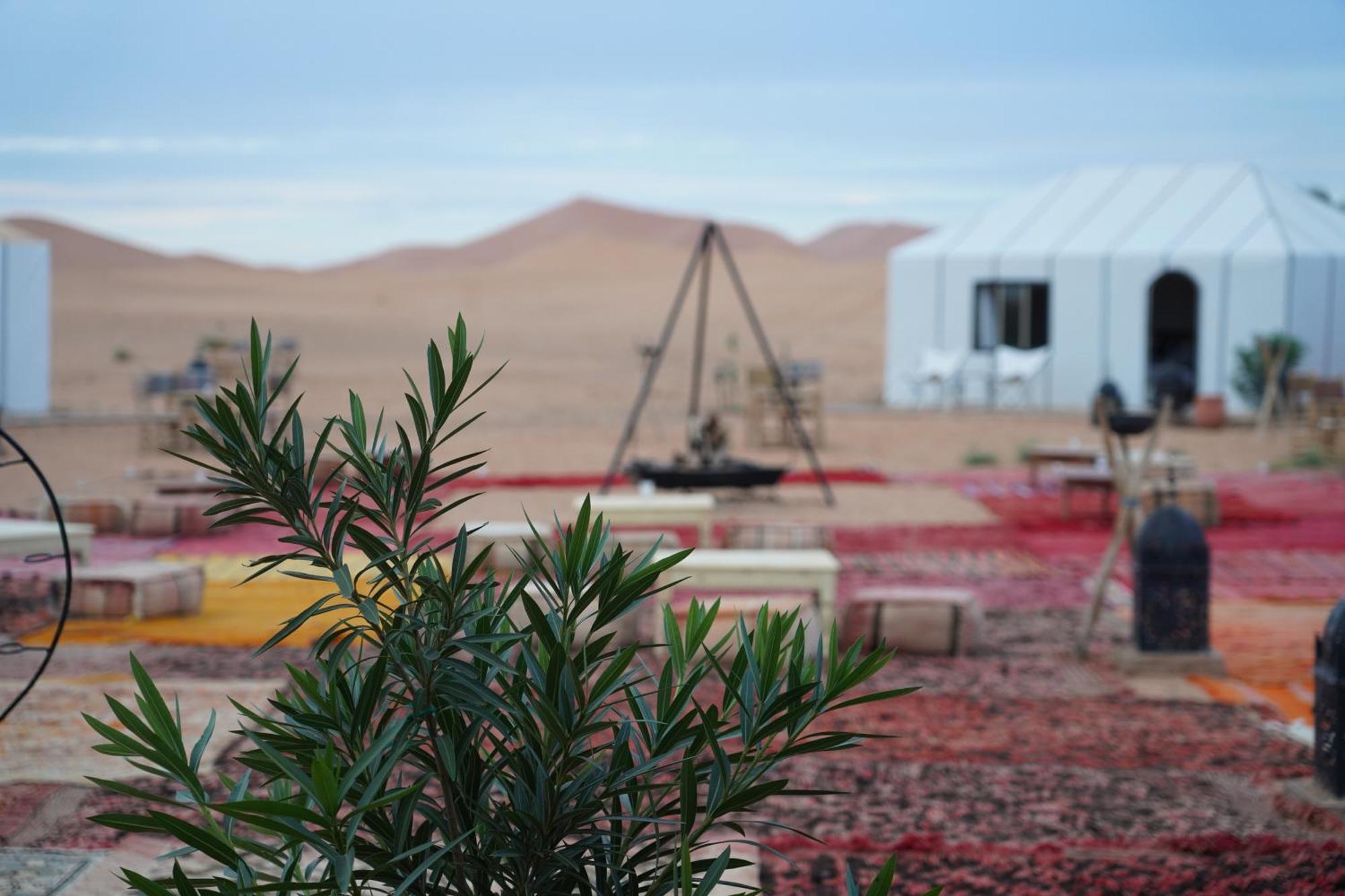 Luxury Berber Style Hotel เมอร์ซูกา ภายนอก รูปภาพ